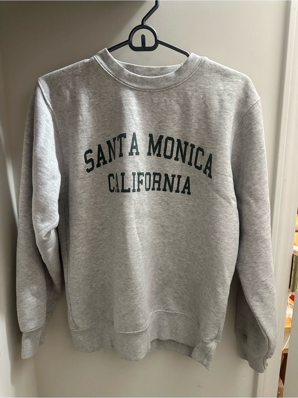 Brandy Melville Gray Santa Monica Crewneck